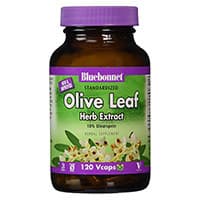 BlueBonnet Olive Leaf Herb Extract
