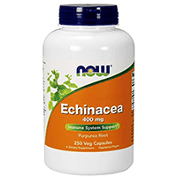 NOW Foods Echinacea