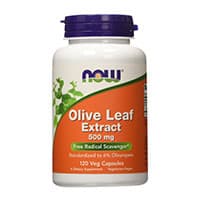 NOW Foods Olive Leaf Extract