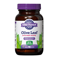 Oregon’s Wild Harvest Olive Leaf