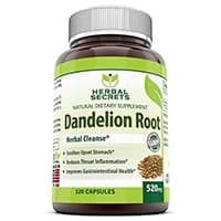 Herbal Secrets Dandelion Root