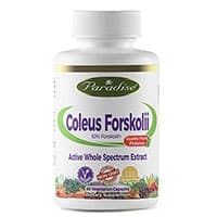 Paradise Herbs Coleus Forskolii