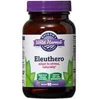 Oregon’s Wild Harvest Eleuthero