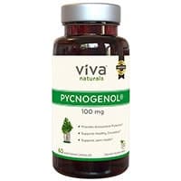 Viva Naturals Pycnogenol