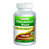 Best Naturals Dandelion Root