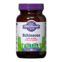 Oregon’s Wild Harvest Echinacea