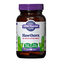 Oregon’s Wild Harvest Hawthorn