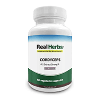 Real Herbs Cordyceps