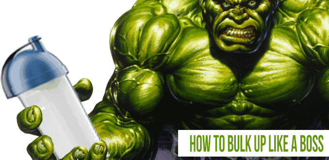 how to bulk up properly