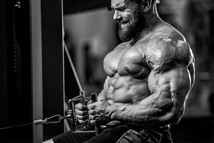 Bulky Guying Training His Back In The Gym