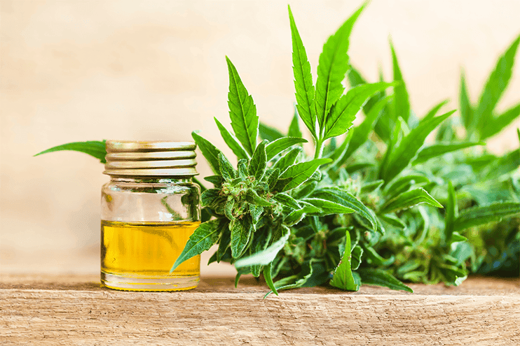 Cbd Oil Users Guide