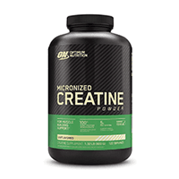 Optimum Nutrition Micronized Creatine