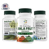 Organic Aura Amla Fruit