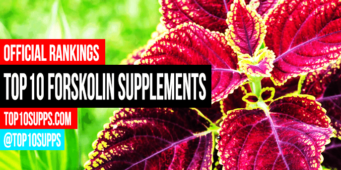 Top 10 Best Forskolin For Women In 2023 Glory Cycles